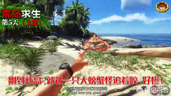 荒岛生存攻略：王氏复制技巧深度解析，解锁神秘新玩法