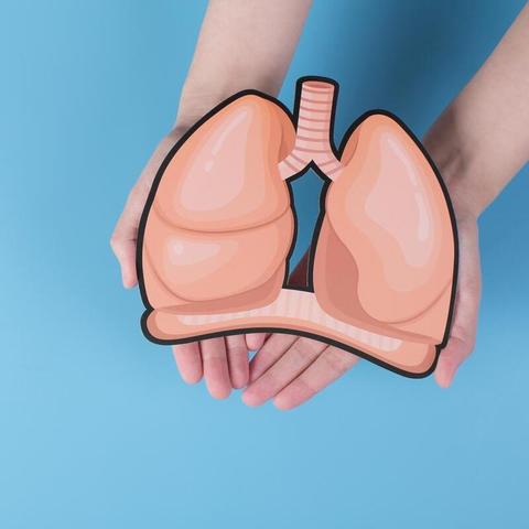 缺氧兑换码大揭秘：2025最新兑换秘籍汇总