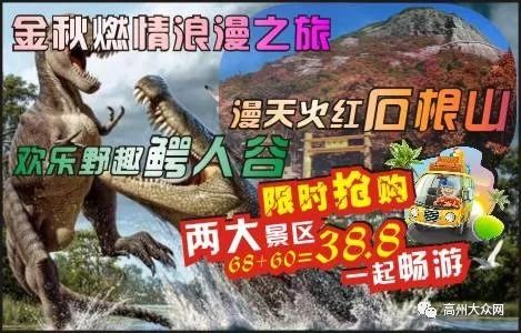 长安幻想精英鳄霸海市第6层攻略：高效通关秘籍大揭秘