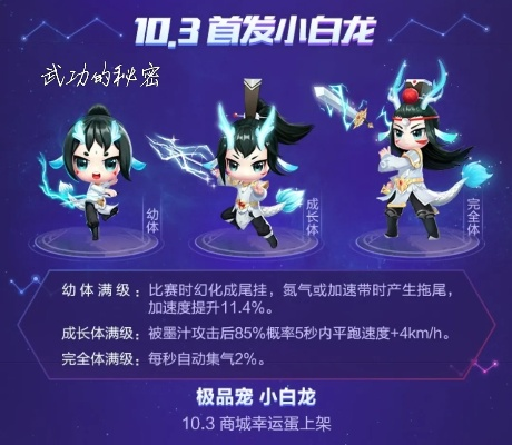 小白龙隐藏皮肤解锁秘籍，轻松获取攻略大揭秘