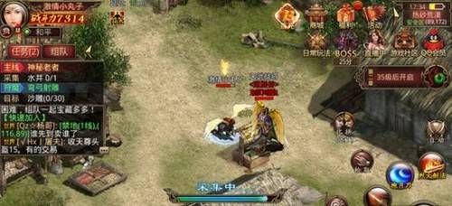 长安幻想云行鹤宠物搭配攻略，高效升级秘籍大公开