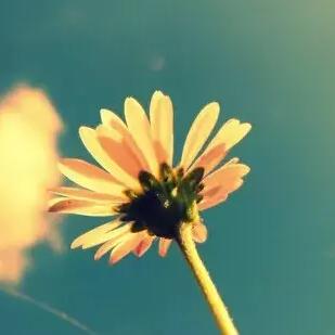 蔚蓝星球时钟秘技解锁，探索永恒之美新途径