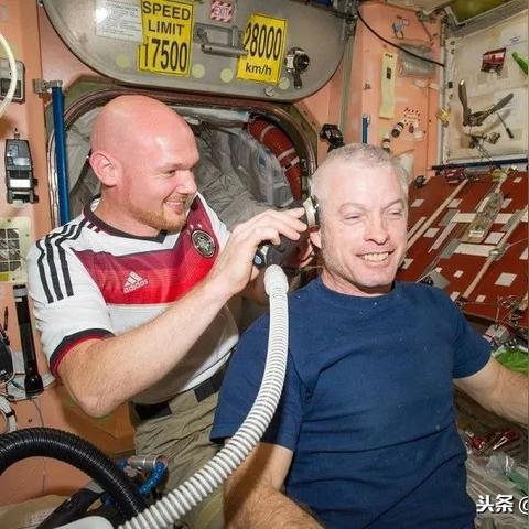 太空鹅鸭杀食鸟鸭攻略：深度解析角色玩法技巧