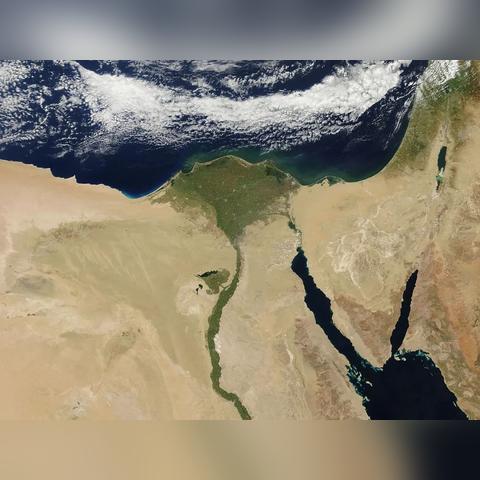 太空鹅鸭杀鹈鹕攻略：深度解析角色玩法与技巧揭秘