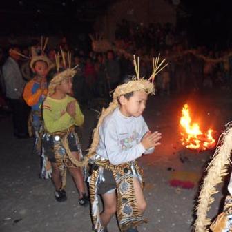 猫咪公寓2祈福秘籍，奖池攻略新视角解锁