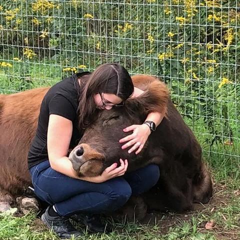 奶牛镇时光兑换码攻略：轻松领取超值礼包秘籍