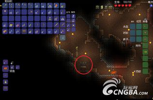 勇者安朵斯祭坛攻略：深度解析，高效通关秘籍大公开