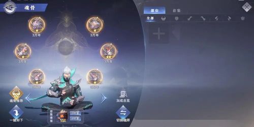 斗罗大陆魂师对决护心石获取攻略，解锁神秘新技能