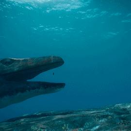 怪兽星球2魔王攻略：高效获取怪兽秘籍大揭秘