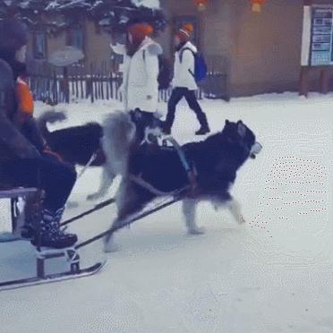 轻松解锁光遇蹦蹦跳跳技巧，掌握独特获取方法攻略！