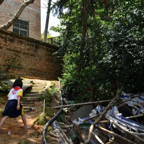 锦鲤水扇通关秘籍：收纳物语攻略新解法大揭秘