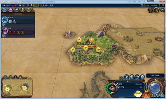 小小蚁国新手攻略：深度解析初期进化类型选择技巧