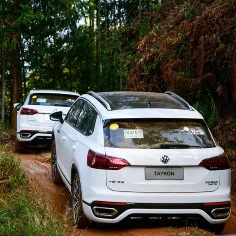 咸鱼之王爬塔阵容攻略：打造无敌万能阵容秘籍