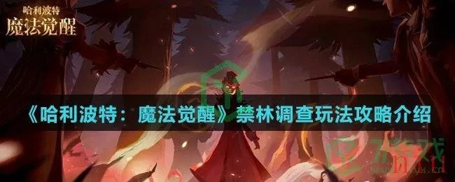 哈利波特觉醒禁林探险攻略：深度解析全新玩法技巧