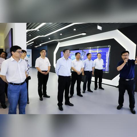 猫之城攻略：猫球孵化秘籍，轻松解锁新玩法