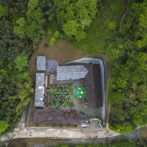 山货图鉴揭秘：夺笋高手精选名录