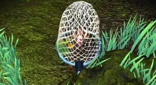 七彩蟋蟀抓捕技巧，夺笋高手必看攻略解析