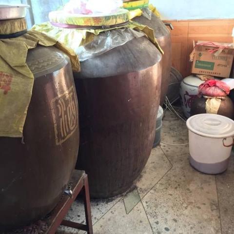 堆叠大陆婴儿成长秘诀：变身村民攻略全解析