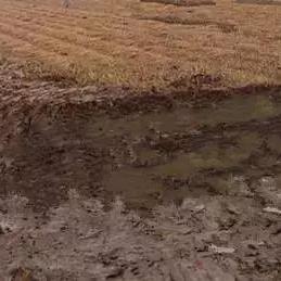 堆叠大陆土壤获取攻略：高效采集新技巧揭秘