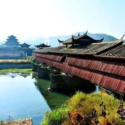 堆叠大陆木材获取攻略：道具收集秘籍大揭秘