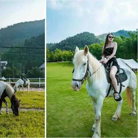 江湖悠悠西瓜村1-2完美攻略：解锁隐藏秘境，轻松通关秘籍大公开