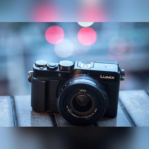 摩尔庄园手游：轻松获取花飞鸟钟攻略秘籍