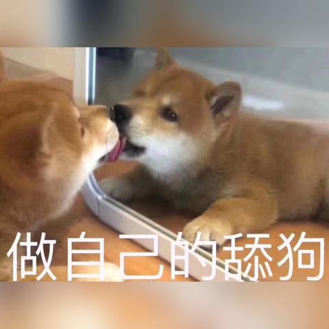 纯白和弦试炼通关秘籍：难度7攻略全解析，高效技巧大揭秘