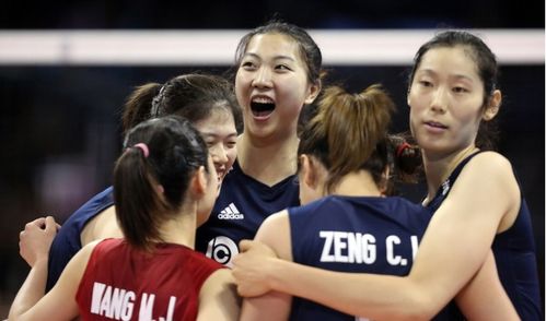 纯白和弦开荒攻略：新手阵容搭配秘籍大揭秘