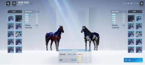 诺亚之心马术攻略：深度解析育马技巧与心得分享