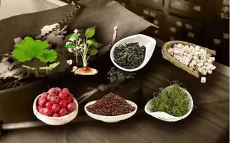 晚安森林食谱揭秘：全面配方大全集