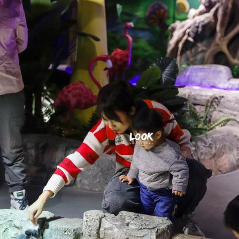 手游《黑色沙漠》浣熊任务攻略：轻松解锁神秘宝藏新技巧