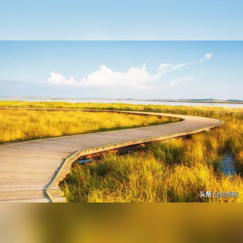 光遇表演季第五任务攻略：高效完成秘境挑战新技巧