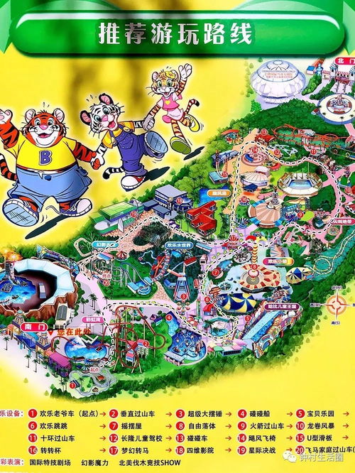 耳语森林社交攻略：龙之国物语全新社交秘籍大揭秘