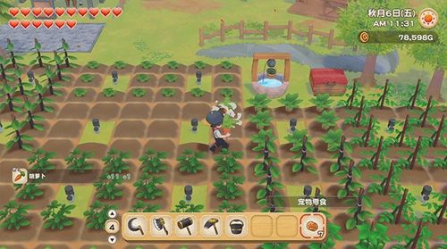 逃离鸭科夫农场镇同好任务攻略：高效完成秘籍分享