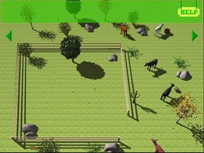 逃离鸭科夫农场镇肉体锻炼攻略：高效健身新体验