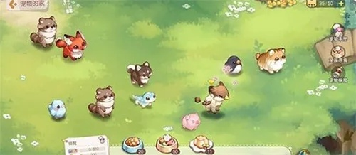 奥比岛手游宠物捕捉技巧大揭秘，轻松捕获心仪宠物攻略分享