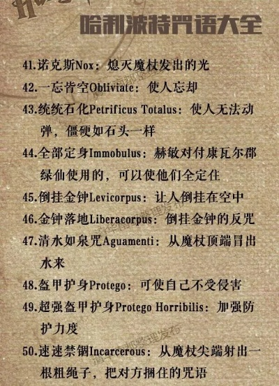 哈利波特魔法知识宝典：全面问答解析