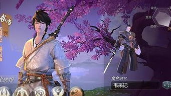 剑侠世界3武当装备搭配秘籍：打造最强武当侠客攻略