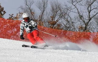 金铲铲乐园滑雪道具价格大揭秘，性价比解析必看