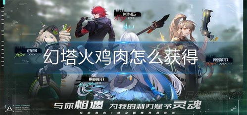 幻塔火鸡肉获取攻略：食材搜集技巧大揭秘
