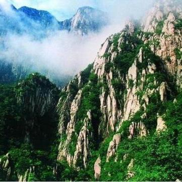 嵩山派阵容攻略：打造高效武林闲侠搭配秘籍