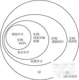 花亦山心之月识彩学画攻略：深度解析第一课核心技巧