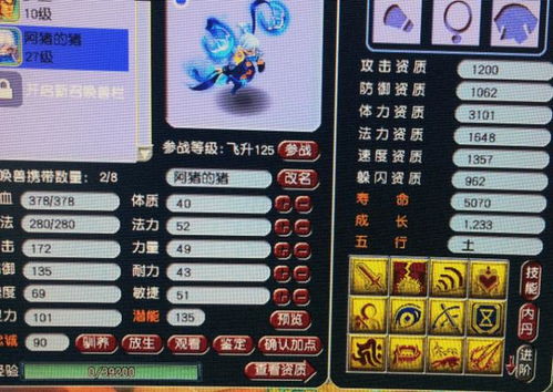 大千世界2黑骑攻略：物法双修小明进阶秘籍深度解析