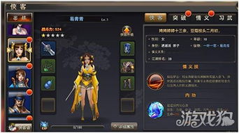 侠客升级秘籍：武林闲侠高效获取攻略解析