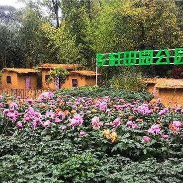 武林闲侠东篱竹林通关秘籍，轻松解锁新境界攻略分享