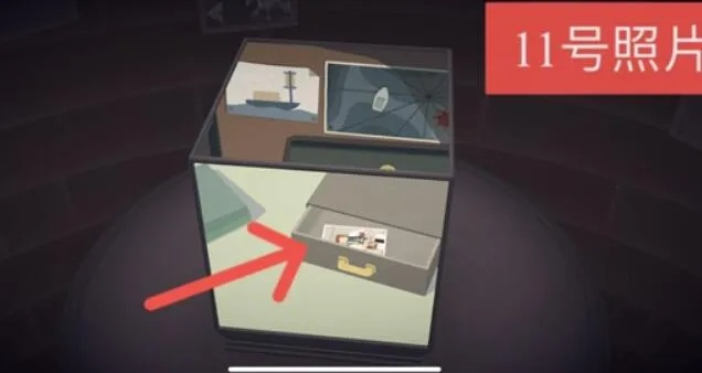 笼中窥梦照片位置探秘，全相册精华一览攻略