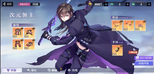 黑月Extend次元领主装备攻略：高效搭配技巧解析