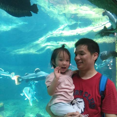 王国保卫战4萌新必看！新手入门攻略全解析，轻松上手攻略秘籍