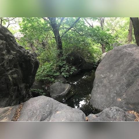 江湖悠悠经脉系统深度解析：全新玩法攻略前瞻揭秘