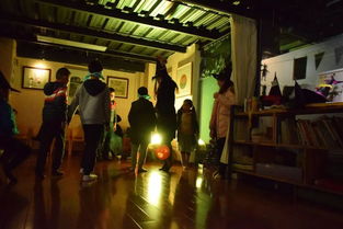 解锁哈利波特舞会音乐秘籍，魔法学院狂欢新体验